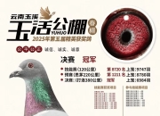 爱游戏入口-亚洲篮球冠军杯季后赛，强队实力碾压对手