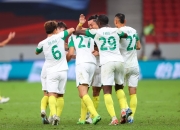 爱游戏下载-巴西国脚气温渐热油滴至关重要日系升班马的简单介绍