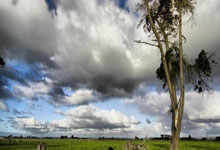 爱游戏娱乐-阿尔希拉尔外援训练成果显著，力拼强队