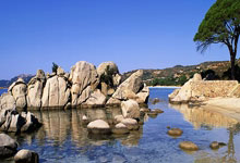 爱游戏tv-跆拳道比赛选手力拼对手，拼尽全力为国争光