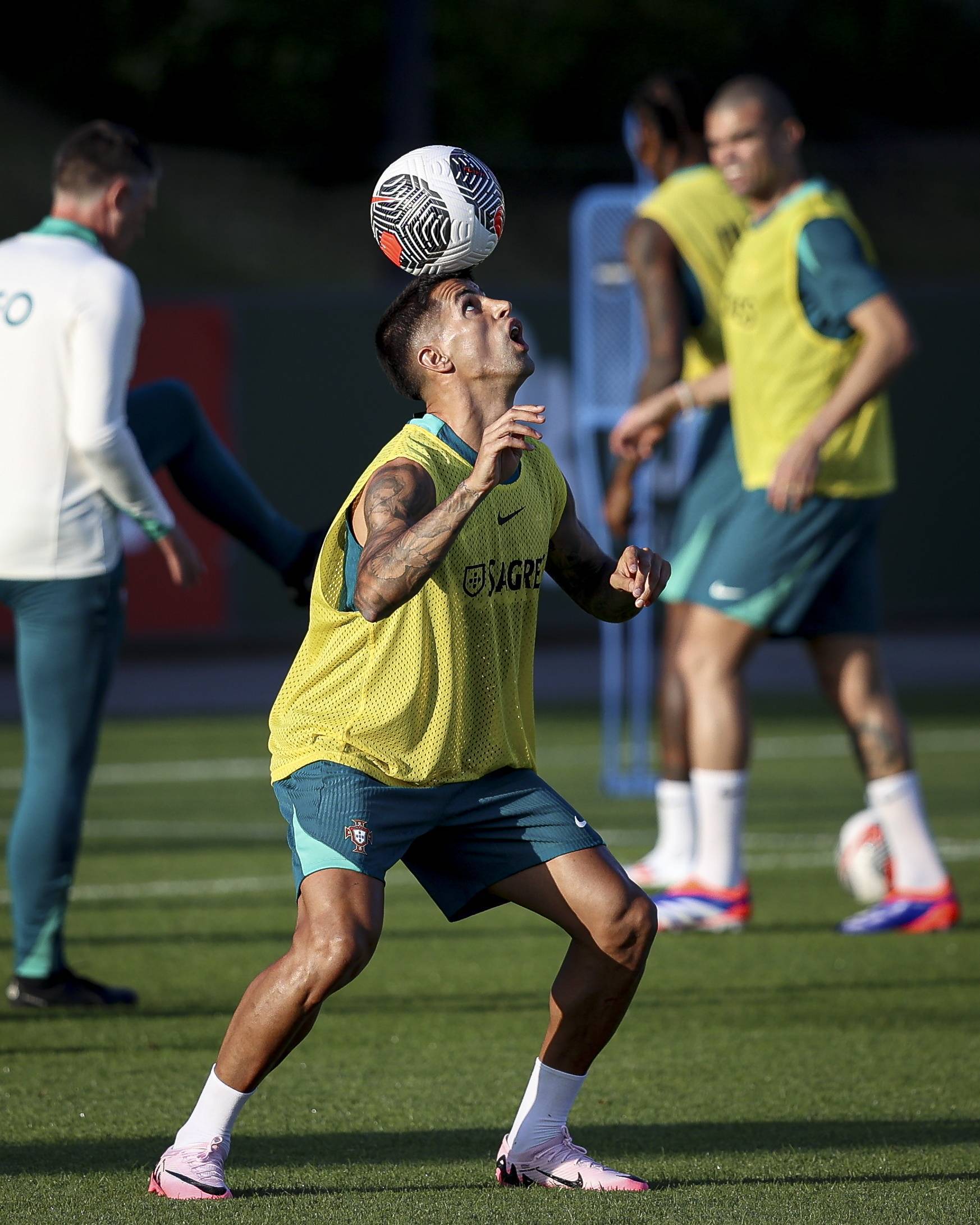 葡萄牙队确定阵容,备战欧洲杯预选赛的简单介绍 葡萄牙队确定阵容,备战欧洲杯预选赛的简单介绍