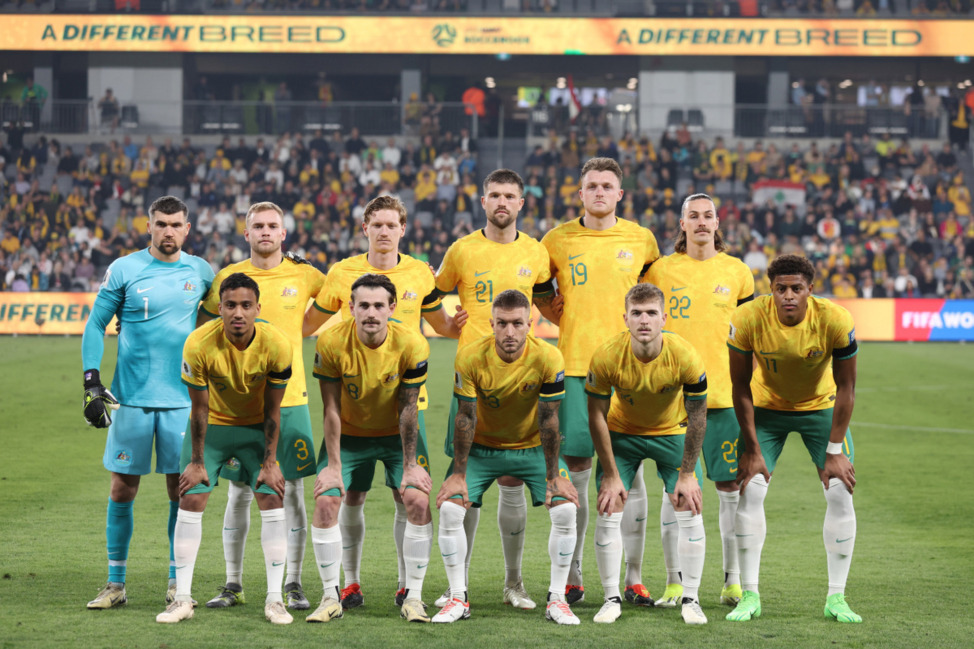 澳洲联赛精彩主场战:澳大利亚队收获胜利 澳洲联赛精彩主场战:澳大利亚队收获胜利