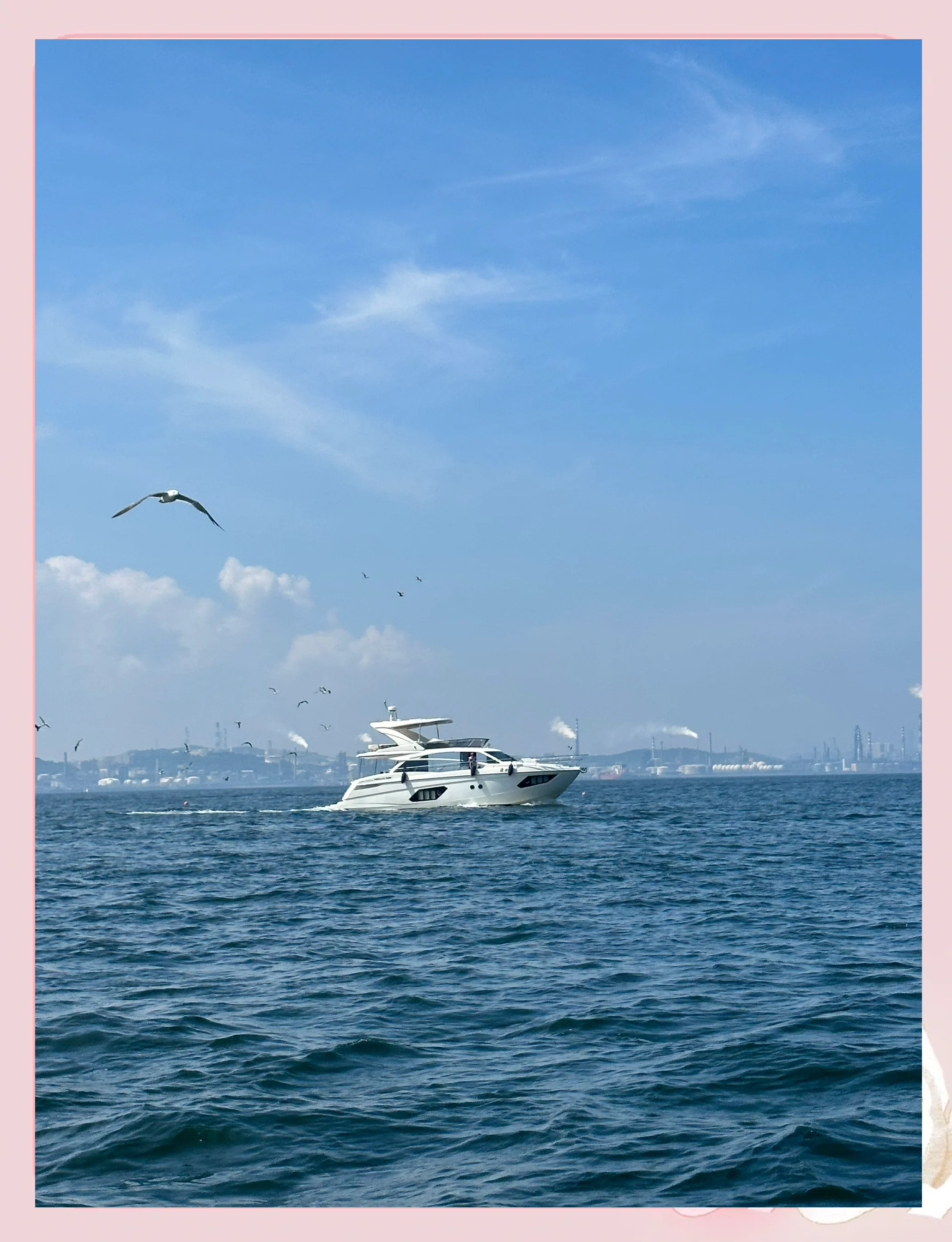 大连海外势不可挡,轻松胜出 大连海外势不可挡,轻松胜出