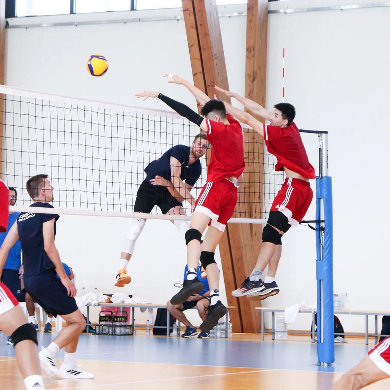 塞尔维亚队备战友谊赛球员表现出色