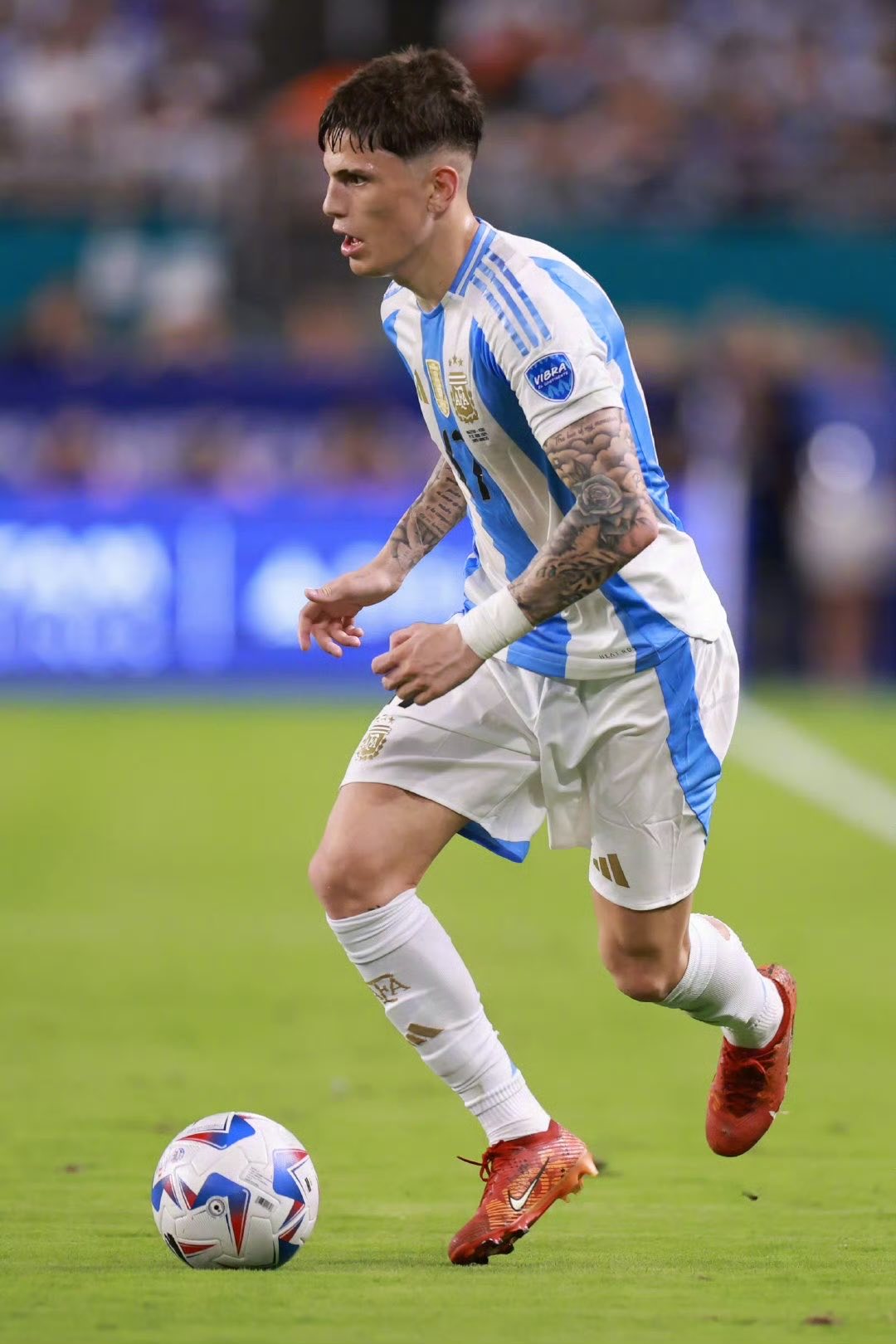 阿根廷运动员突围击败对手夺得跳水金牌