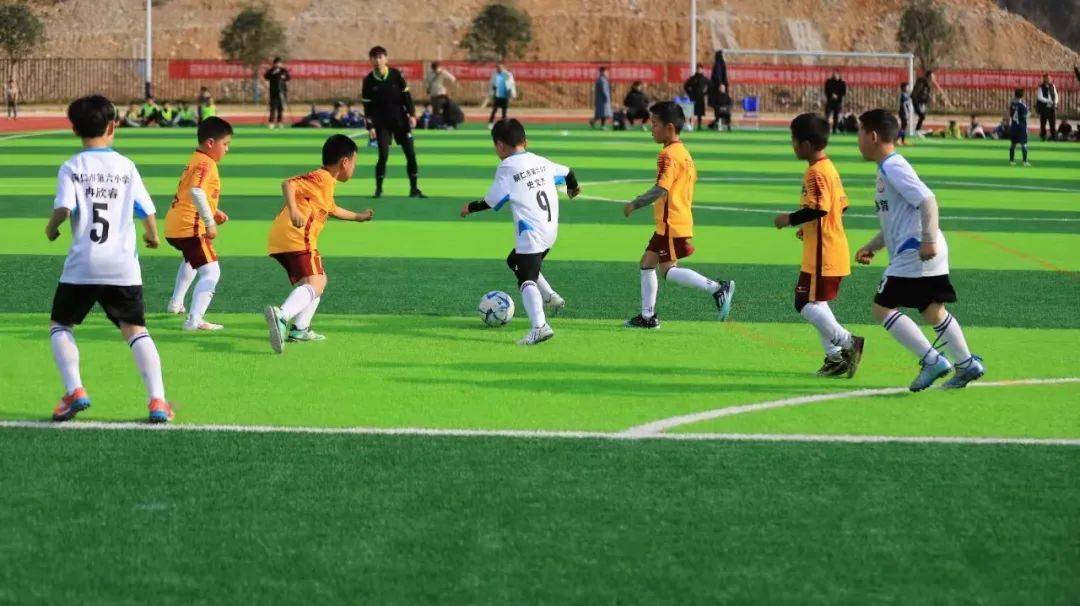 体育赛事镜头回放：精彩瞬间纷呈