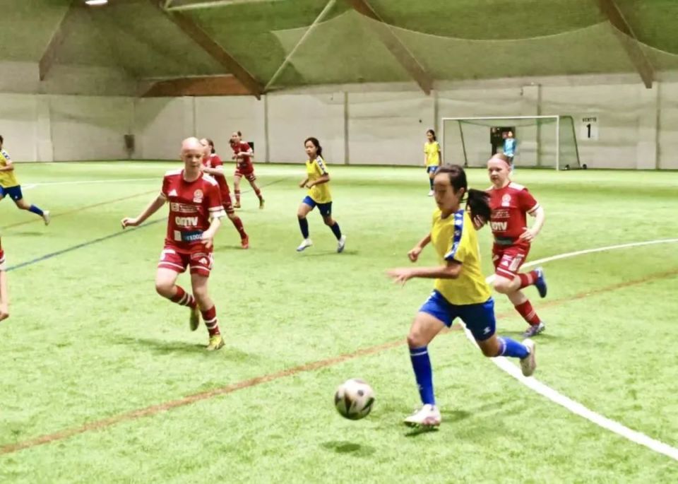 芬兰女足实力抢眼,牢牢占据世界杯四强位置 芬兰女足实力抢眼,牢牢占据世界杯四强位置