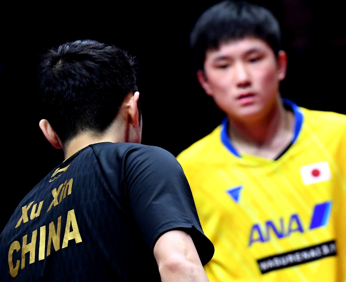 日本队鏖战德国队,许昕惊艳四座的简单介绍 日本队鏖战德国队,许昕惊艳四座的简单介绍