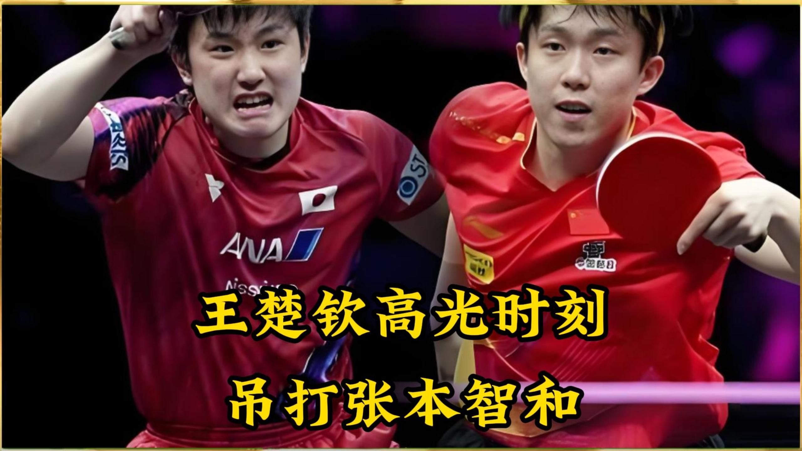 关于德国乒乓球队横扫中国乒乓球队，张本智和高光表现的信息