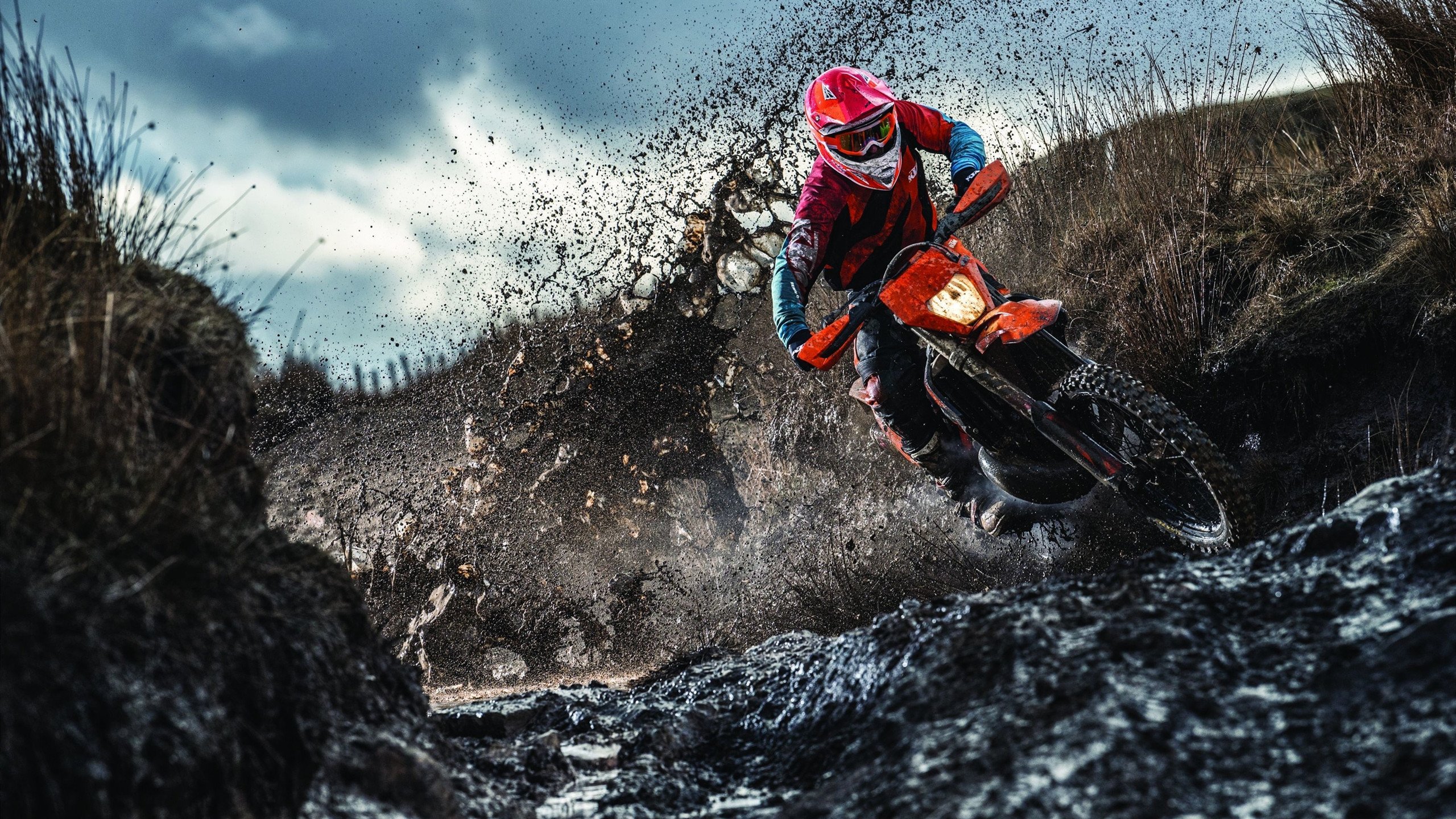 国家荣耀与个人巅峰的交织，戴维斯杯的团队奇迹与穆雷的温网传奇